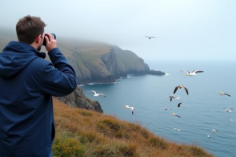Fuglekikking på norsk kyst